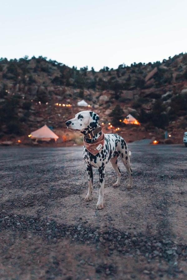 Zion Glamping Adventures Hotel Hildale Buitenkant foto